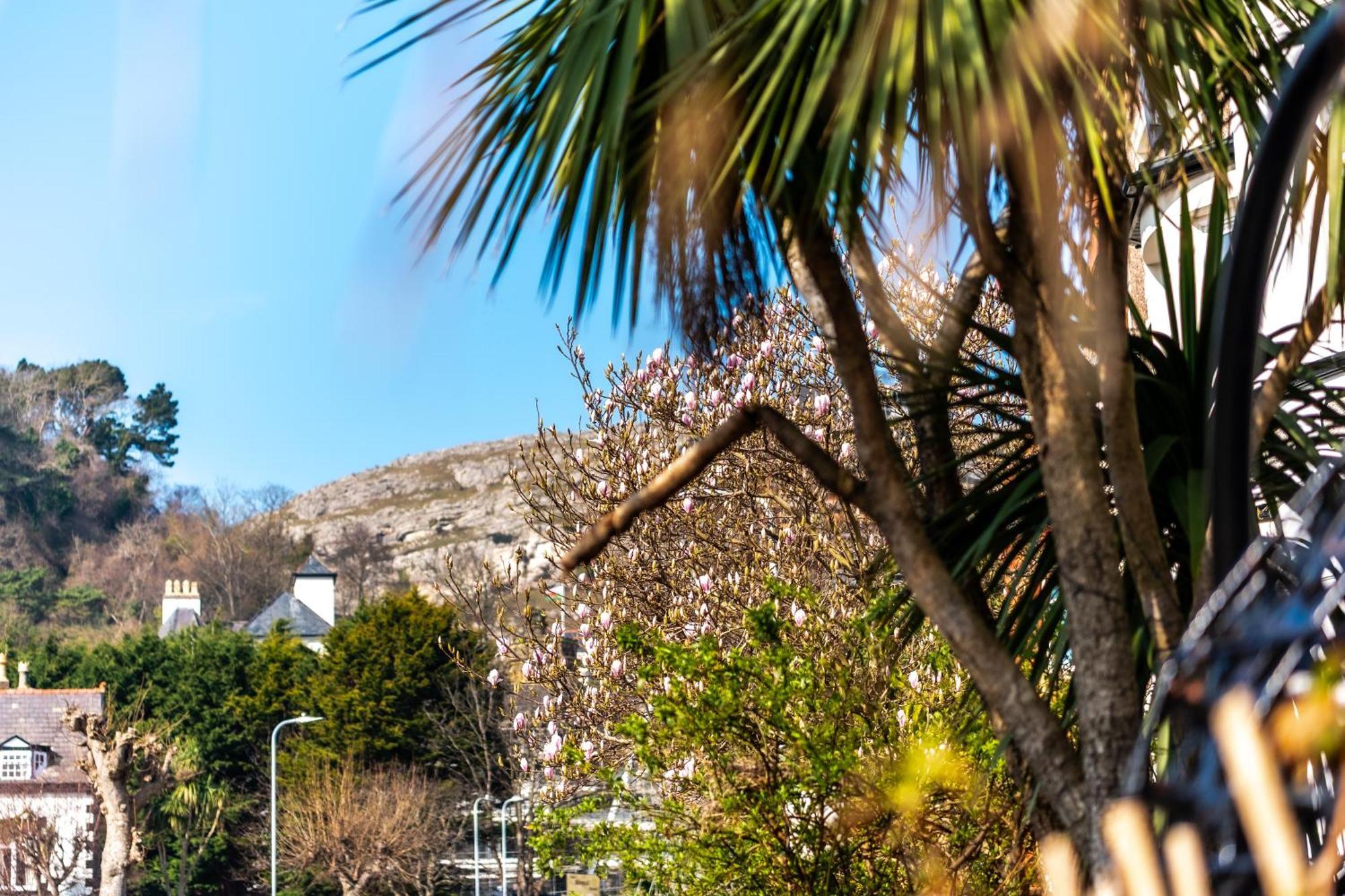 Mulberry House Casa de hóspedes Llandudno